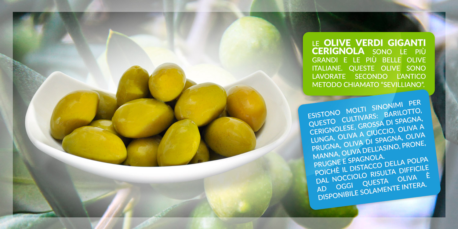 Olive Cerignola